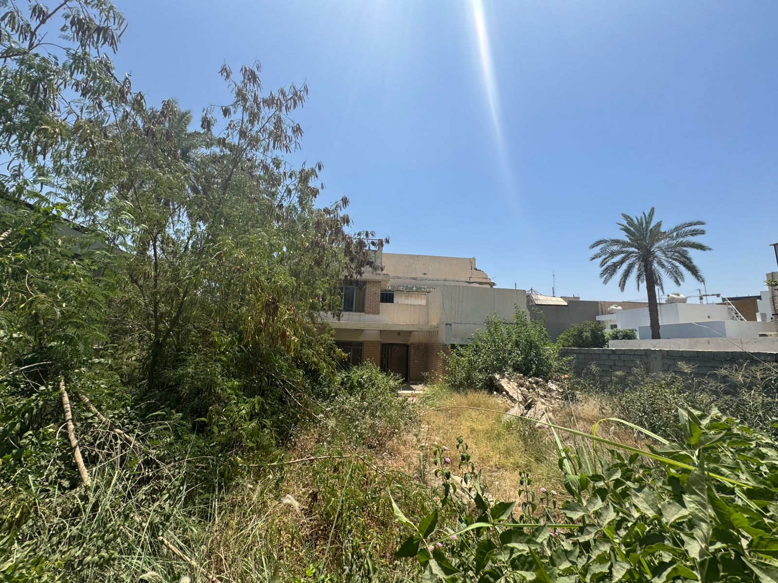 Image 5